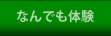 �Ȃ�ł��̌�
